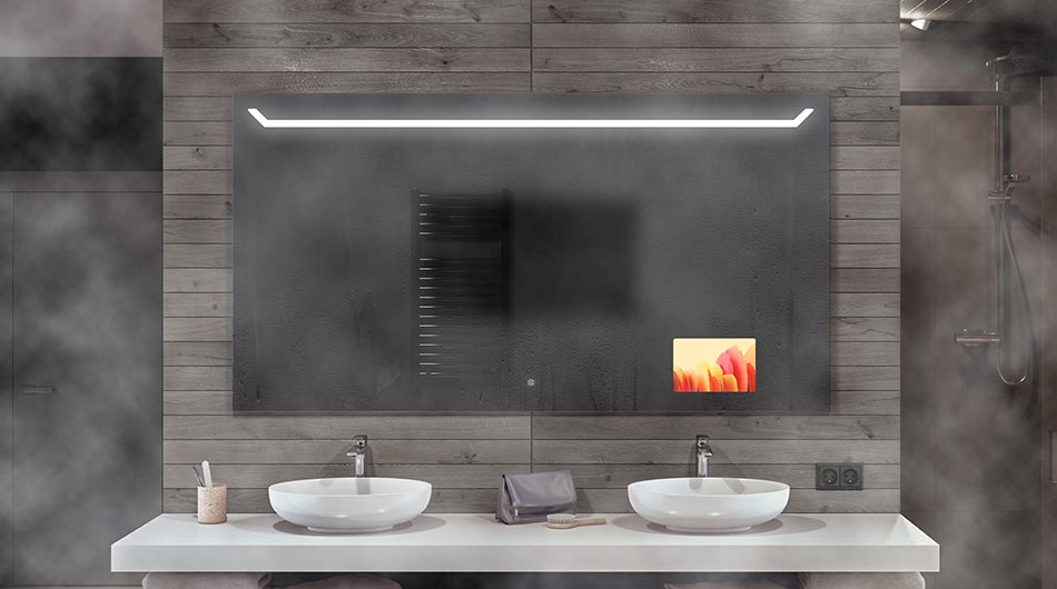 Demister