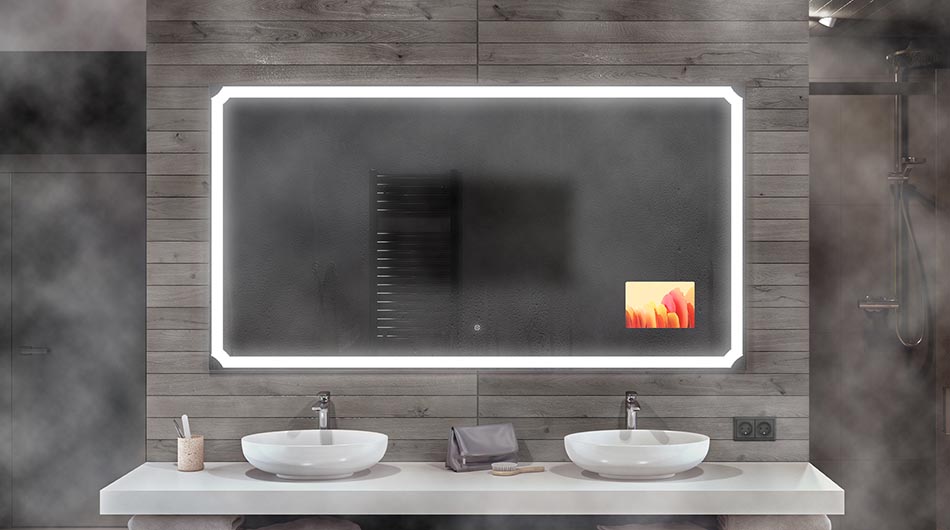 Demister