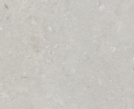 Grīdas flīzes 60x120 cm, gaiši pelēkas, matētas, A4H1093 Shellstone Bianco