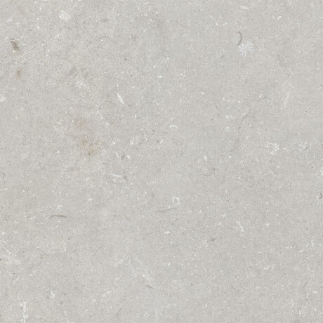 Grīdas flīzes 60x120 cm, gaiši pelēkas, matētas, A4H1093 Shellstone Bianco #1