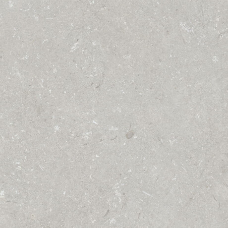 Grīdas flīzes 60x120 cm, gaiši pelēkas, matētas, A4H1093 Shellstone Bianco #2