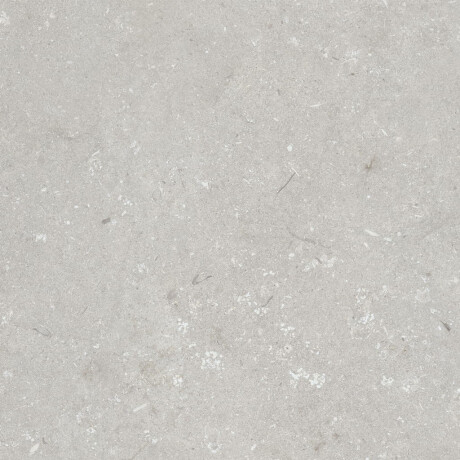 Grīdas flīzes 60x120 cm, gaiši pelēkas, matētas, A4H1093 Shellstone Bianco #3