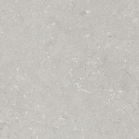 Grīdas flīzes 60x120 cm, gaiši pelēkas, matētas, A4H1093 Shellstone Bianco #4