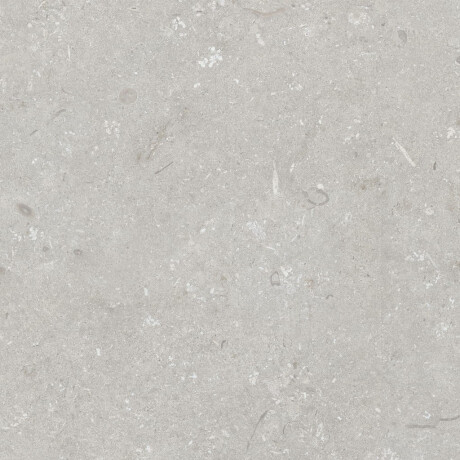 Grīdas flīzes 60x120 cm, gaiši pelēkas, matētas, A4H1093 Shellstone Bianco #5