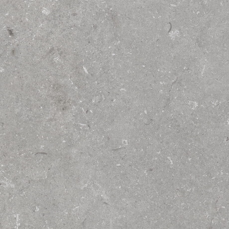 Grīdas flīzes 60x120 cm, pelēkas, matētas A4H1096 Shellstone Grigio #4