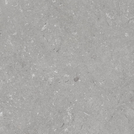 Grīdas flīzes 60x120 cm, pelēkas, matētas A4H1096 Shellstone Grigio #5