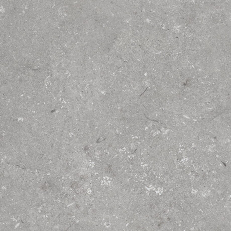 Grīdas flīzes 60x120 cm, pelēkas, matētas A4H1096 Shellstone Grigio #6