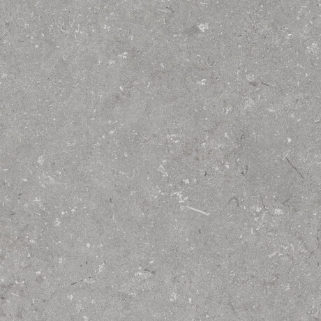 Grīdas flīzes 60x120 cm, pelēkas, matētas A4H1096 Shellstone Grigio #7