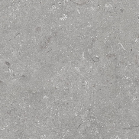 Grīdas flīzes 60x120 cm, pelēkas, matētas A4H1096 Shellstone Grigio #8