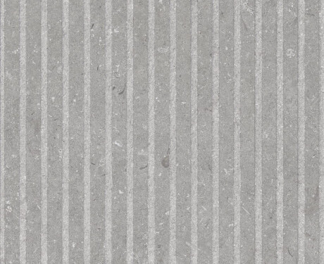 Sienas flīzes 60x120 cm, pelēkas, matētas A4H1097 Shellstone Grigio Rigat-One