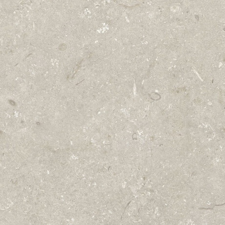 Grīdas flīzes 60x120 cm, smilškrāsas, matētas A4H1099 Shellstone Beige #7