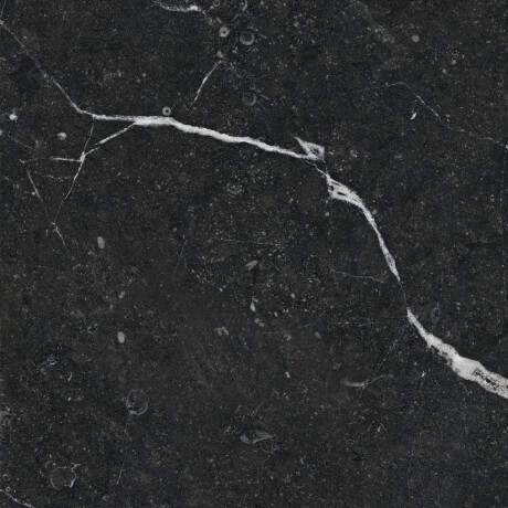Glazēti grīdas flīzes 60x120 ar zelta dzīslu, matētas, rektificētas A4H110 Pierre Black #19