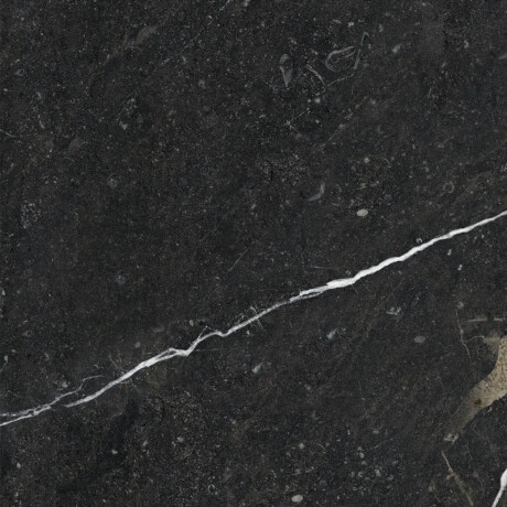Glazēti grīdas flīzes 60x120 ar zelta dzīslu, matētas, rektificētas A4H110 Pierre Black #20