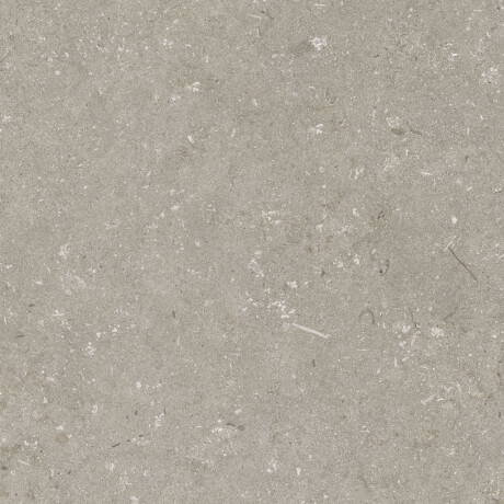 Grīdas flīzes 60x120 cm, pelēkbrūnas, matētas, A4H1102 Shellstone Taupe #4
