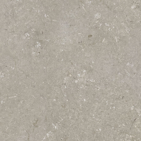 Grīdas flīzes 60x120 cm, pelēkbrūnas, matētas, A4H1102 Shellstone Taupe #5