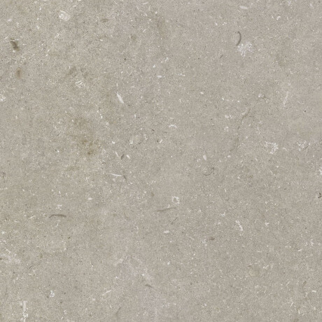 Grīdas flīzes 60x120 cm, pelēkbrūnas, matētas, A4H1102 Shellstone Taupe #6