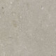 Grīdas flīzes 60x120 cm, pelēkbrūnas, matētas, A4H1102 Shellstone Taupe #6