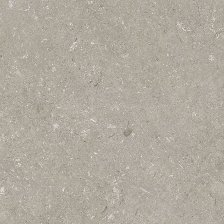 Grīdas flīzes 60x120 cm, pelēkbrūnas, matētas, A4H1102 Shellstone Taupe #7