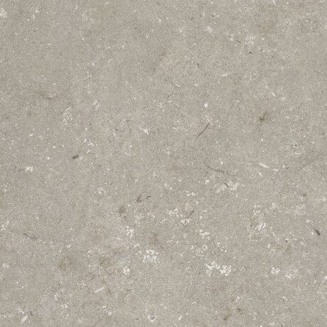 Grīdas flīzes 60x120 cm, pelēkbrūnas, matētas, A4H1102 Shellstone Taupe #8