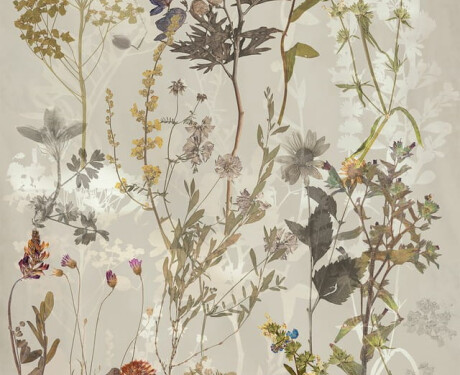 Sienas flīzes 60x120 cm, pelēkas ar ziedu motīviem, matētas, A4H919 Glame