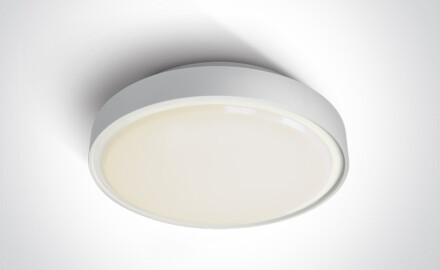 RAFTI AN griestu lampa 24 W 3000 K IP65 antracīta krāsā
