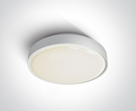 RAFTI AN griestu lampa 24 W 3000 K IP65 antracīta krāsā