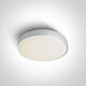 RAFTI AN griestu lampa 24 W 3000 K IP65 antracīta krāsā #1