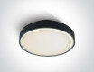 RAFTI EA griestu lampa 2x12W  IP65 antracīta krāsā