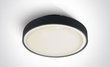 RAFTI EA griestu lampa 2x12W  IP65 antracīta krāsā