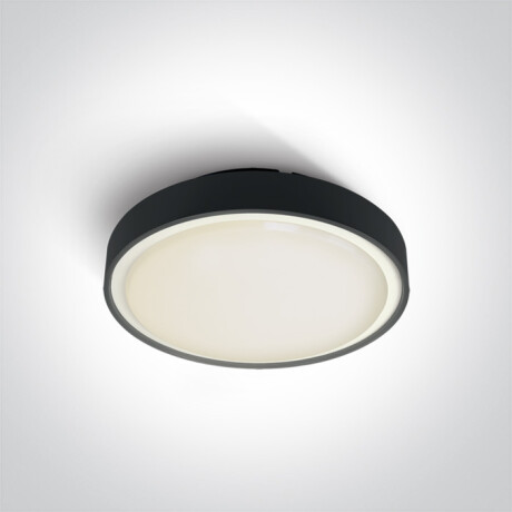 RAFTI EA griestu lampa 2x12W  IP65 antracīta krāsā #1