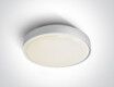 RAFTI EA griestu lampa 2x12W  IP65 melna