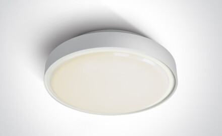RAFTI EA griestu lampa 2x12W  IP65 melna