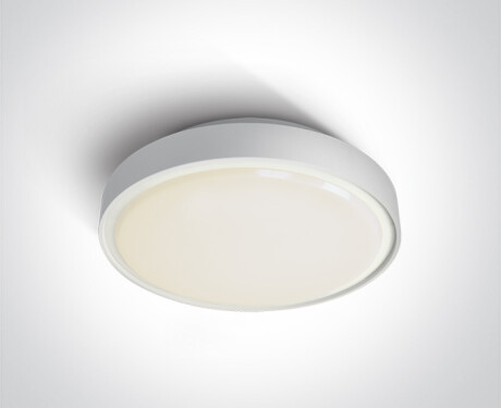 RAFTI EA griestu lampa 2x12W  IP65 melna