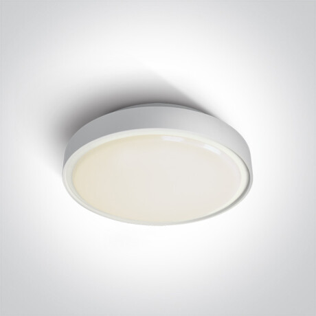 RAFTI EA griestu lampa 2x12W  IP65 melna #1