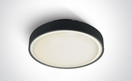 RAFTI E griestu lampa 12 W  IP65 antracīta krāsā