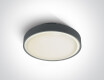 RAFTI EA griestu lampa 2x12W  IP65 balta
