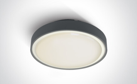 RAFTI EA griestu lampa 2x12W  IP65 balta