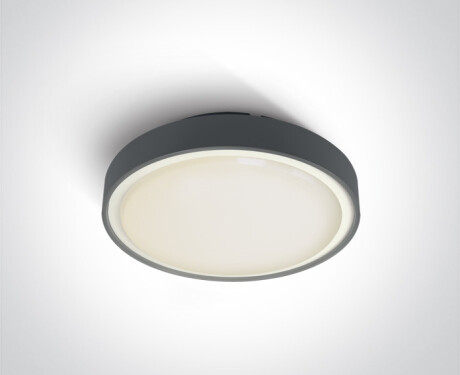RAFTI EA griestu lampa 2x12W  IP65 balta