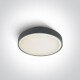 RAFTI EA griestu lampa 2x12W  IP65 balta #1