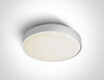 RAFTI E griestu lampa 12 W, IP65, pelēka