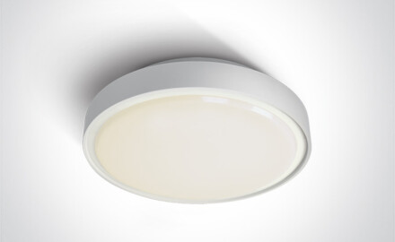 RAFTI E griestu lampa 12 W, IP65, pelēka