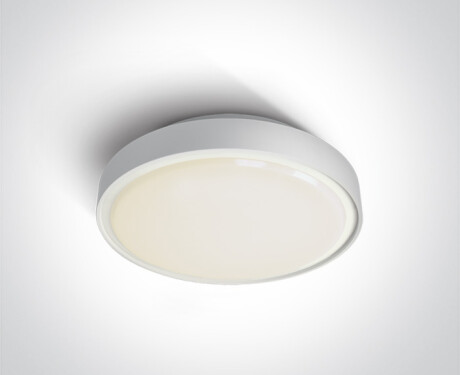 RAFTI E griestu lampa 12 W, IP65, pelēka