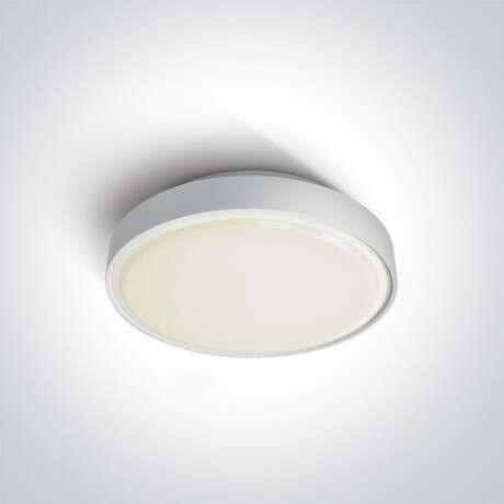 RAFTI E griestu lampa 12 W, IP65, pelēka #1