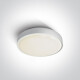 RAFTI E griestu lampa 12 W, IP65, pelēka #1