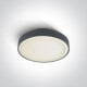 RAFTI E griestu lampa 12 W, IP65, balta #1