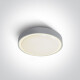 RAFTI N griestu lampa 16 W 3000 K IP65 antracīta krāsā #1