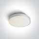 RAFTI N griestu lampa 16 W 3000 K IP65 pelēka #1