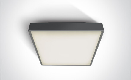 PIRNARI AN griestu lampa 24 W, 3000 K, IP65, pelēka