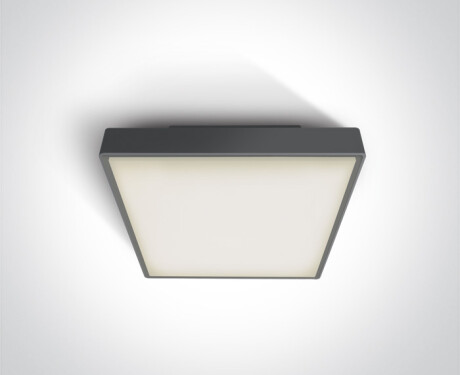 PIRNARI AN griestu lampa 24 W, 3000 K, IP65, pelēka