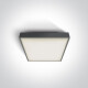 PIRNARI AN griestu lampa 24 W, 3000 K, IP65, pelēka #1